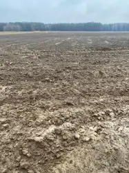 Zdjęcie 1