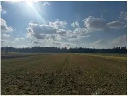 Zdjęcie 1