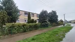 Zdjęcie 1