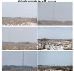 Zdjęcie 1
