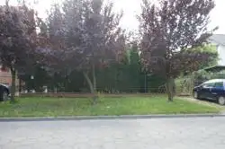 Zdjęcie 1