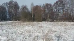 Zdjęcie 1