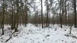 Zdjęcie 1