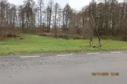 Zdjęcie 1