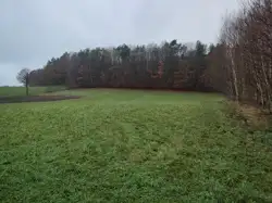 Zdjęcie 1