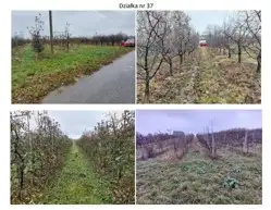 Zdjęcie 1