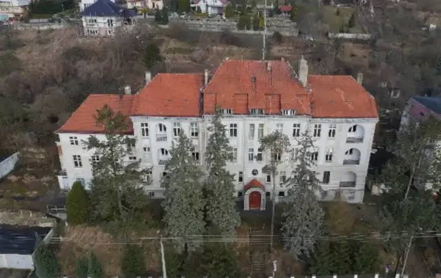 Miniatura 7