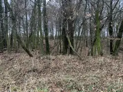 Zdjęcie 1