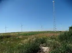 Zdjęcie 1