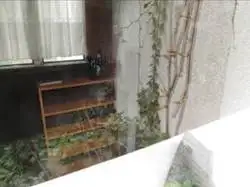 Zdjęcie 1