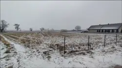 Zdjęcie 1