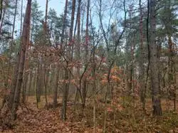 Zdjęcie 1