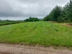 Zdjęcie 1