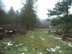 Zdjęcie 1