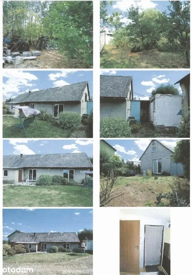 Zdjęcie 1