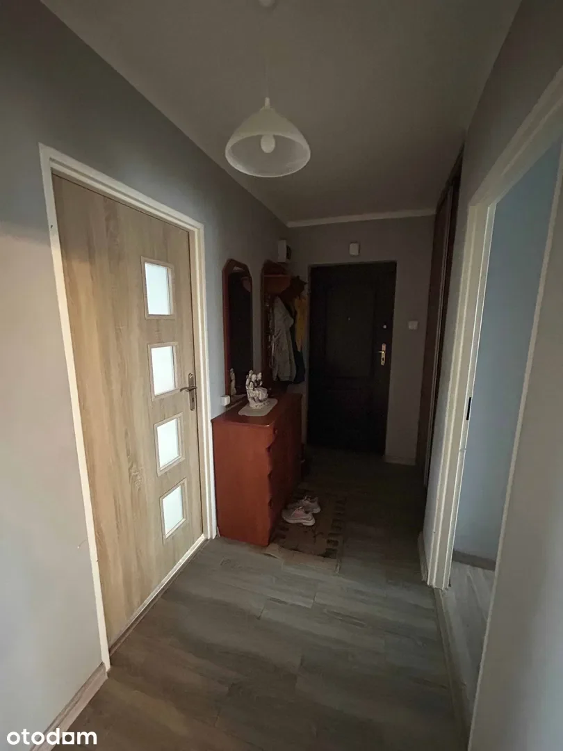 Zdjęcie 1