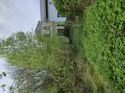 Zdjęcie 1