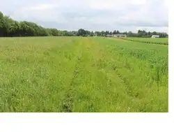 Zdjęcie 1