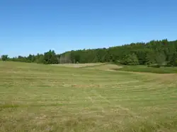 Zdjęcie 1
