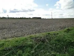 Zdjęcie 1