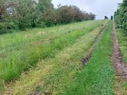 Zdjęcie 1