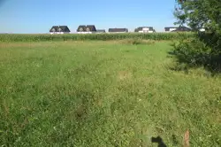 Zdjęcie 1