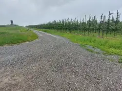 Zdjęcie 1
