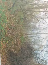 Zdjęcie 1