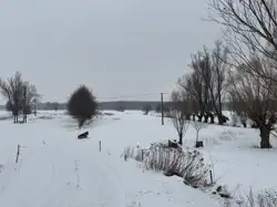 Zdjęcie 1