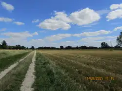 Zdjęcie 1