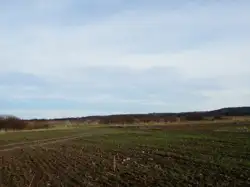 Zdjęcie 1