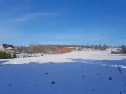 Zdjęcie 1