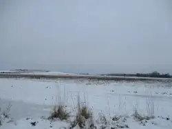 Zdjęcie 1