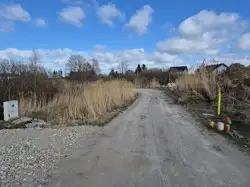 Zdjęcie 1