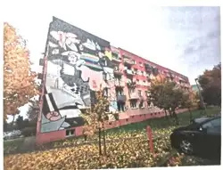 Zdjęcie 1