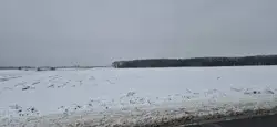 Zdjęcie 1