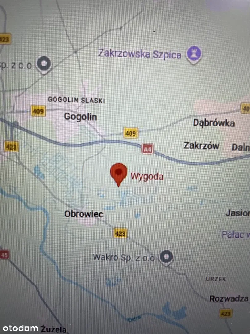 Zdjęcie 1