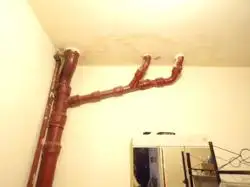 Zdjęcie 1