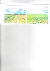Zdjęcie 1