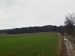 Zdjęcie 1