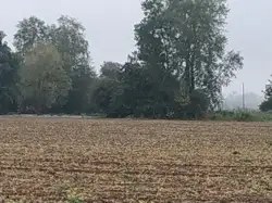 Zdjęcie 1