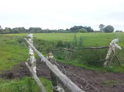 Zdjęcie 1