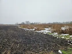 Zdjęcie 1