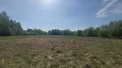 Zdjęcie 1