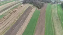 Zdjęcie 1