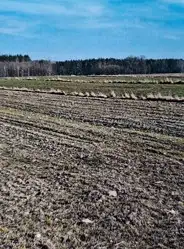 Zdjęcie 1