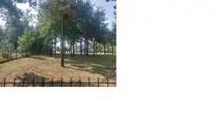 Zdjęcie 1