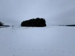 Zdjęcie 1