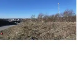Zdjęcie 1