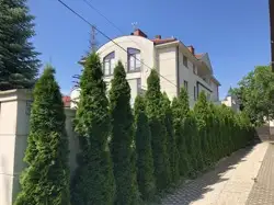 Zdjęcie 1